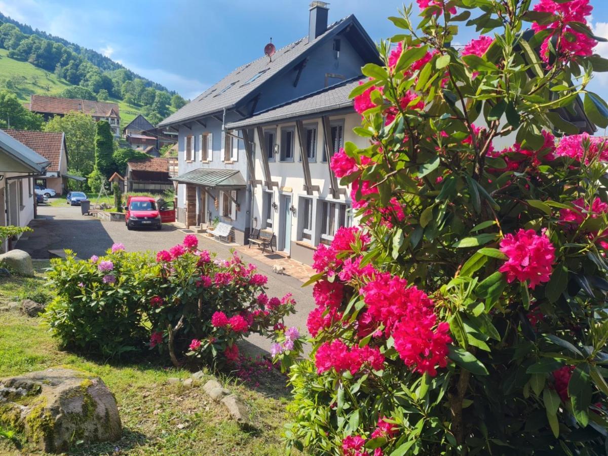 Locations Des 3 Sommets Avec Sauna Et Spa En Alsace Sondernach Exterior photo