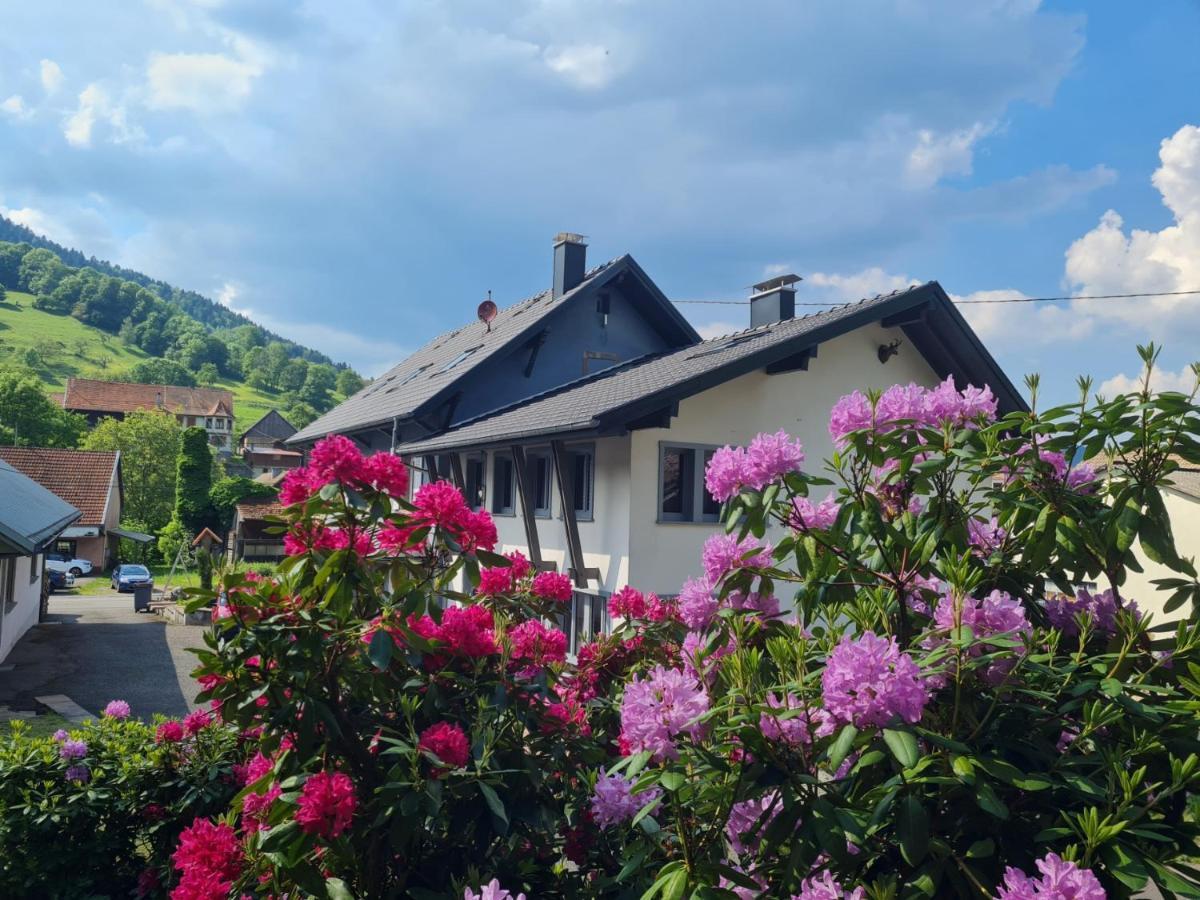 Locations Des 3 Sommets Avec Sauna Et Spa En Alsace Sondernach Exterior photo