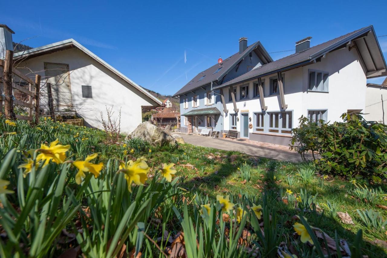 Locations Des 3 Sommets Avec Sauna Et Spa En Alsace Sondernach Exterior photo