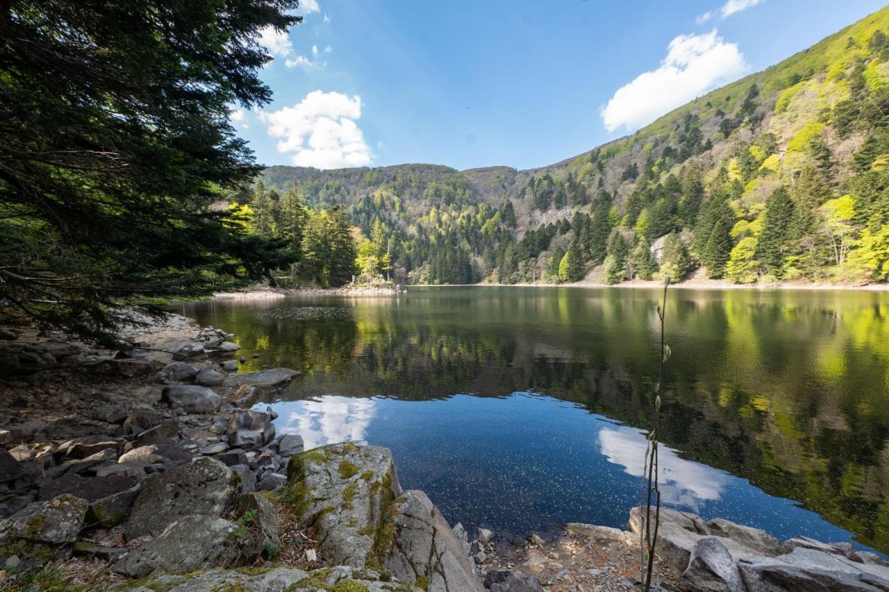 Locations Des 3 Sommets Avec Sauna Et Spa En Alsace Sondernach Exterior photo