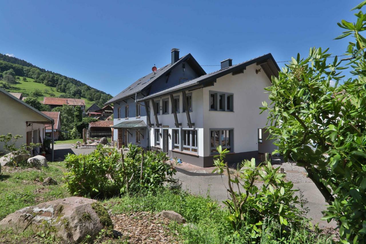 Locations Des 3 Sommets Avec Sauna Et Spa En Alsace Sondernach Exterior photo